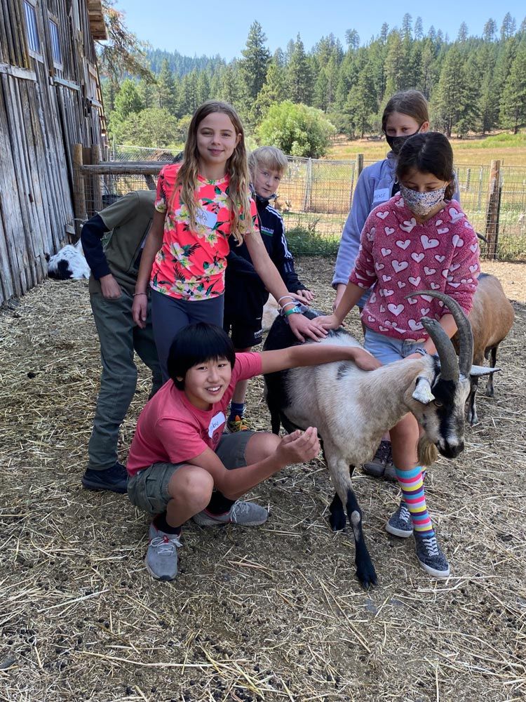 outdoor school campers petting a goat