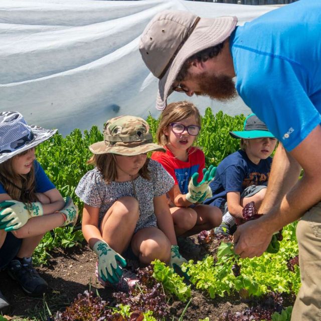staff help nature day camp kids in the garden
