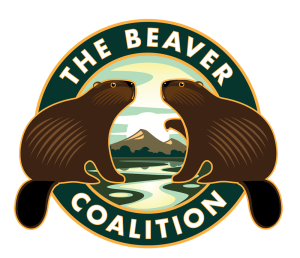 The Beaver Coaltion