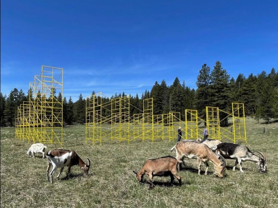 goats in front of art installation at The Crest by Avantika Bawa