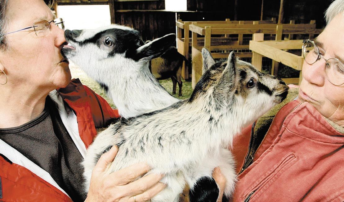 Willow-Witt owners Suzanne Willow, left, and Lanita Witt share a moment with their baby goats at their farm near Grizzly Peak. Mail Tribune file photo by Jamie Lusch.