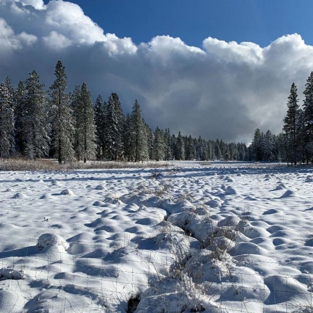 snowy wetlands at The Crest at Willow-Witt Ranch
