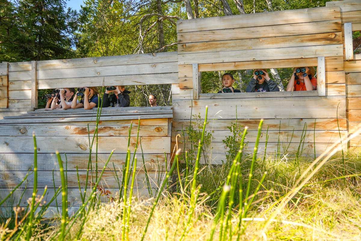 elementary school field trip students using binoculars at turtle blind to view Western Pond Turtles