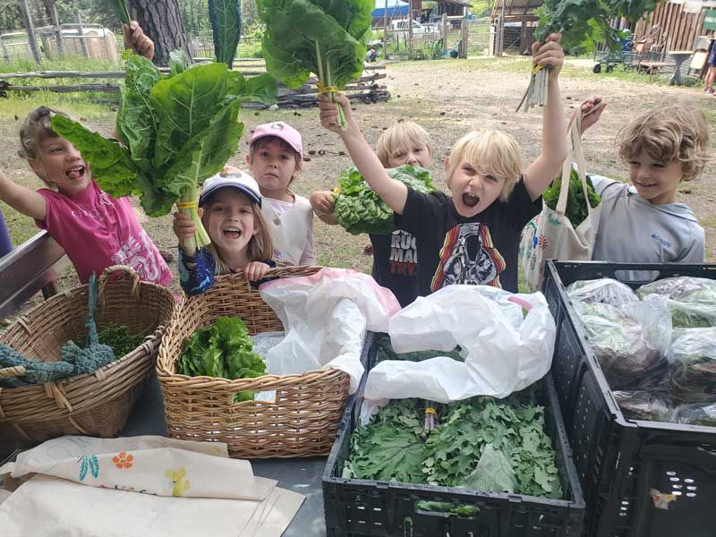 Nature Day Campers show off kale and chard harvest
