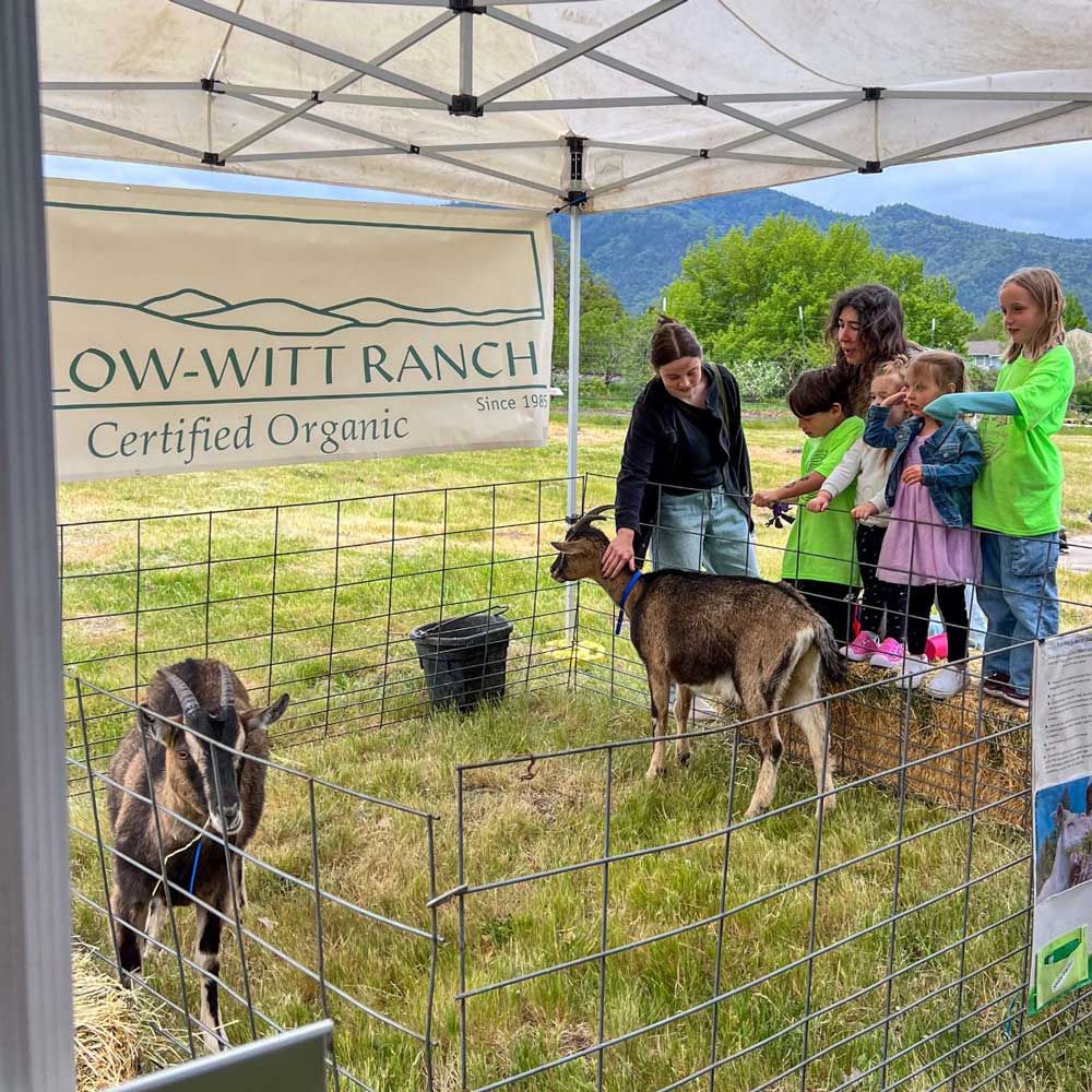 Alpine goat petting at Earth Day event Willow-Witt Ranch booth