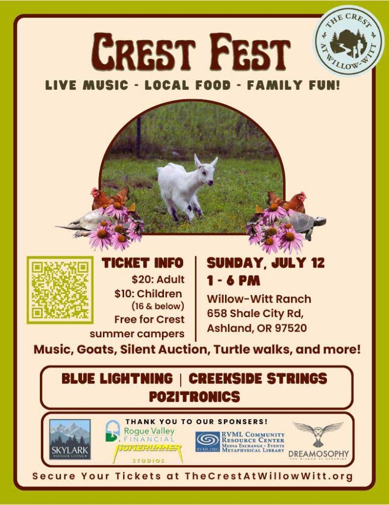 geese joining an event