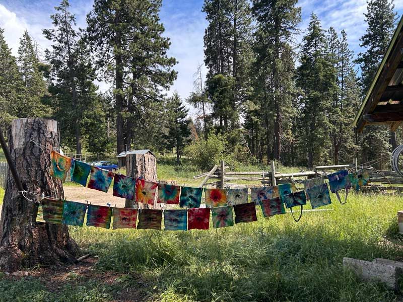 Nature Day Camp participants' hand-painted cloth produce bags hang on line to dry in the sun