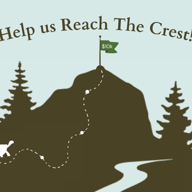 reach.the.crest.fundraiser