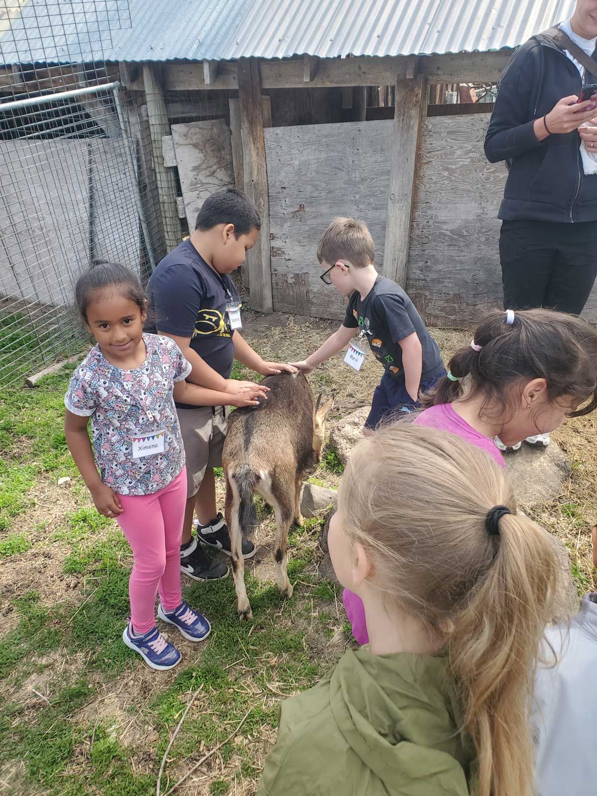 elementary school students pet baby boats during farm tour at The Crest at Willow-Witt Ranch