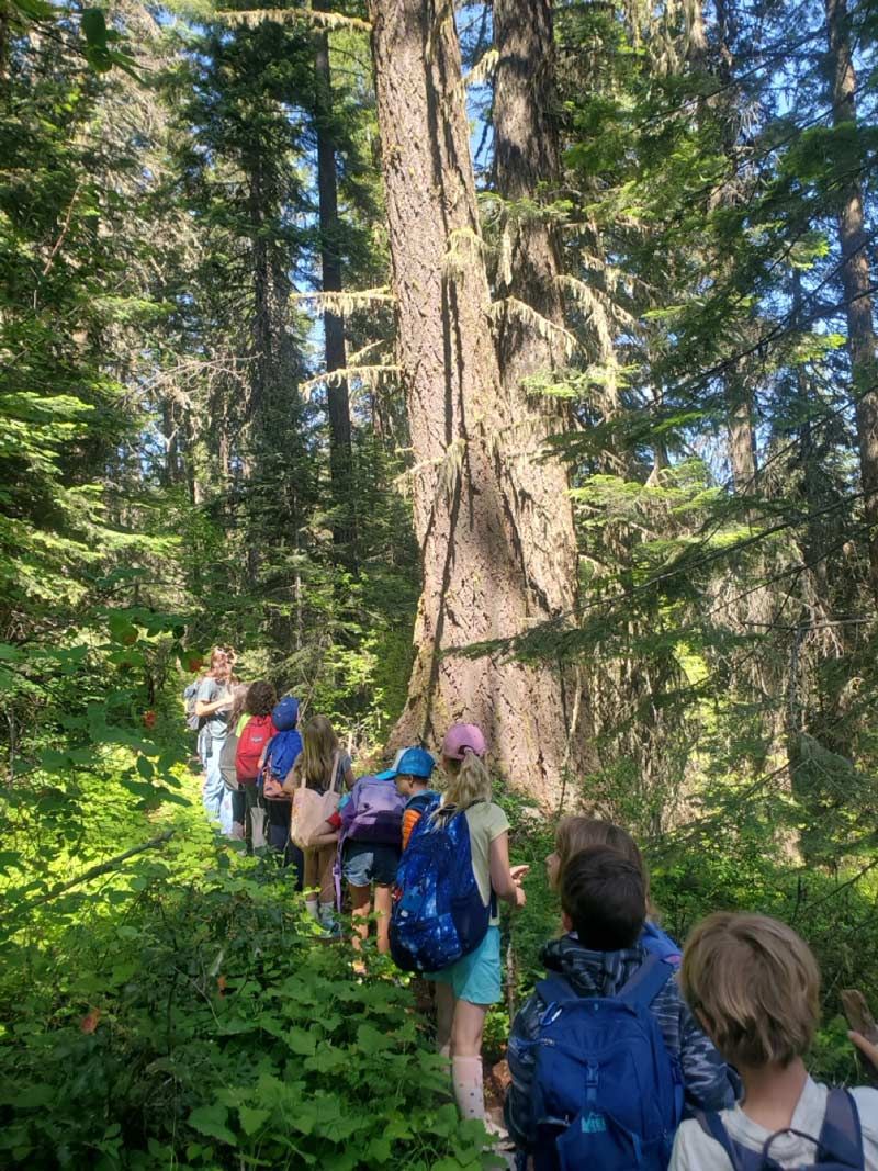 Nature Day Camp students hike a forested trail while learning about nature