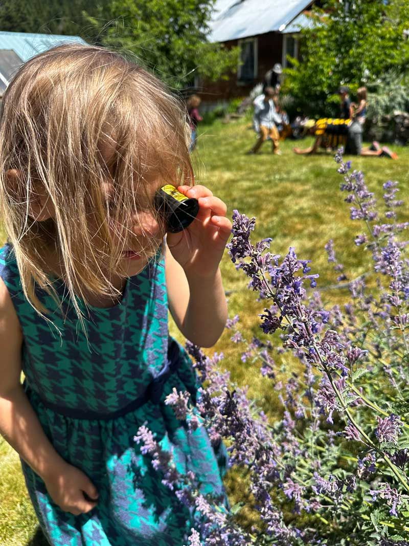 Nature Day Camper uses magnifier to study bees and flowers