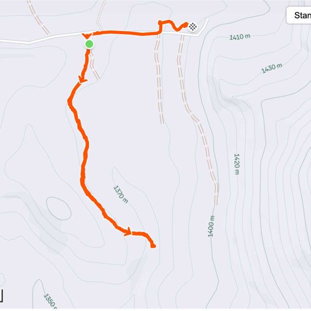 Turtle Trot 1 Mile Fun Run