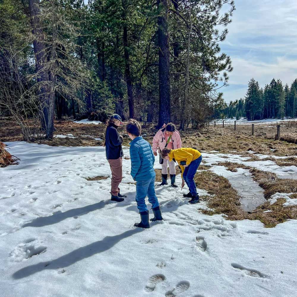 Winter Footprints Program participants search for tracks in the snow