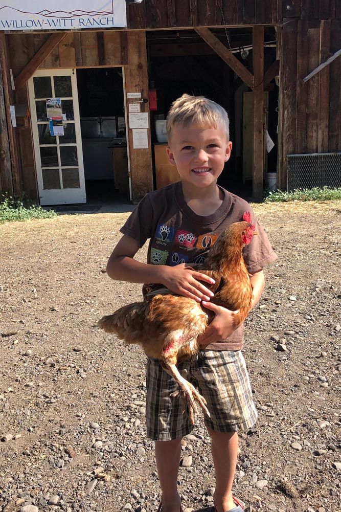 Children learning about chickens at summer camp