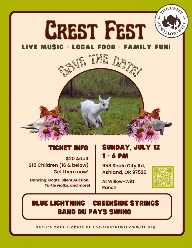 geese joining an event