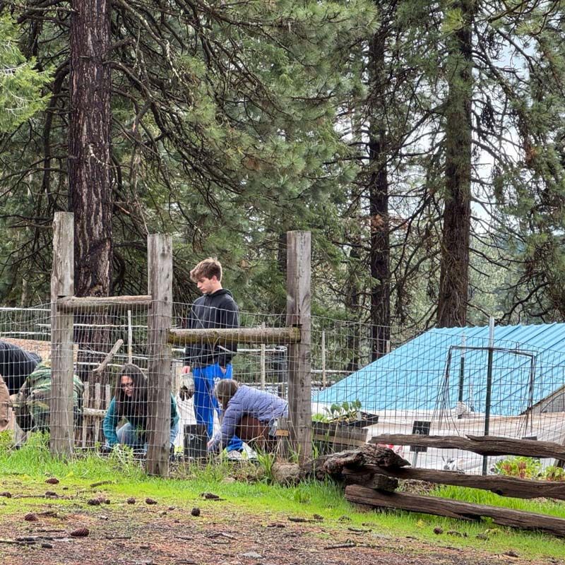 three volunteers at work along ranch fencing