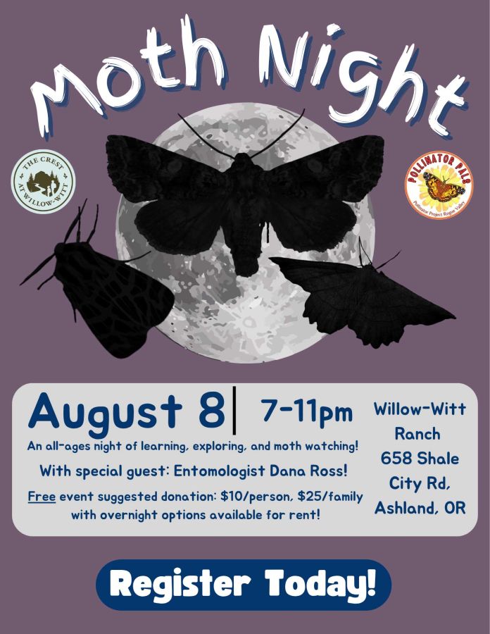 Moth Night flyer