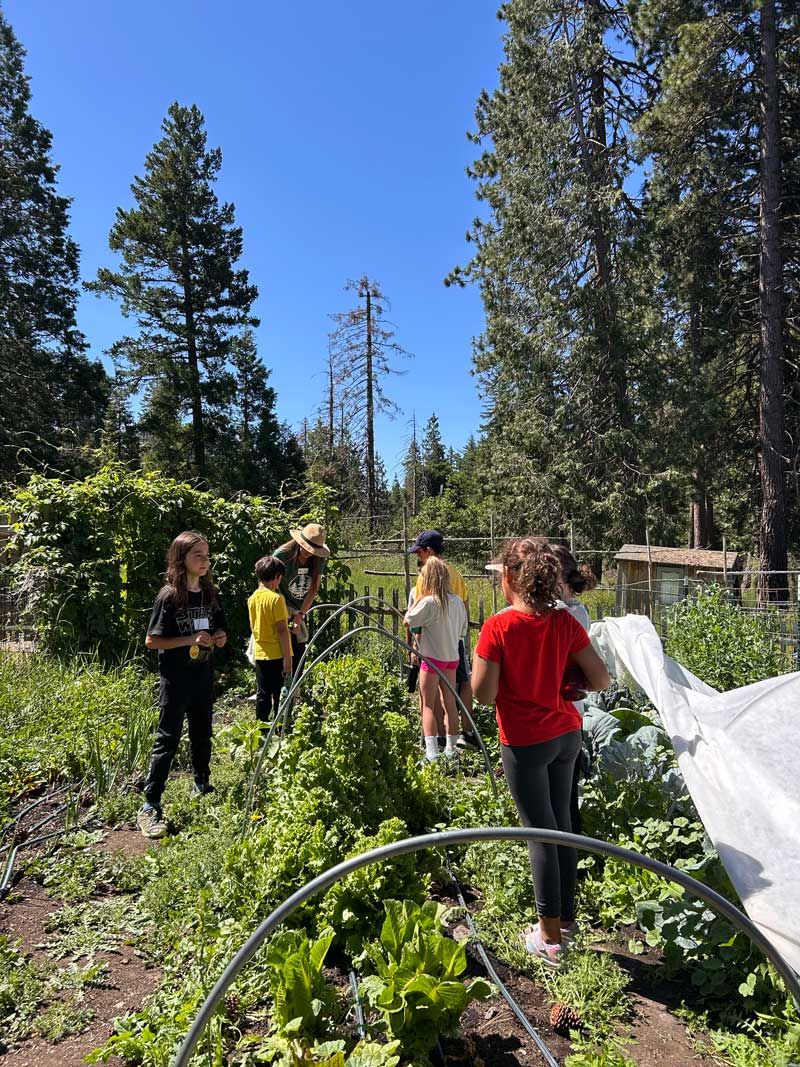 Nature Day Campers explore the organic garden at Willow-Witt Ranch