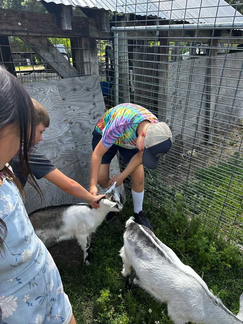 Nature Day Campers enjoy petting and playing with baby goats