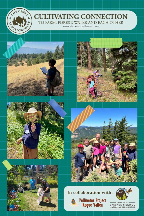 Summer Camp 2024 highlights with Pollinator Project Rogue Valley and Friends of the Cascade-Siskiyou National Monument