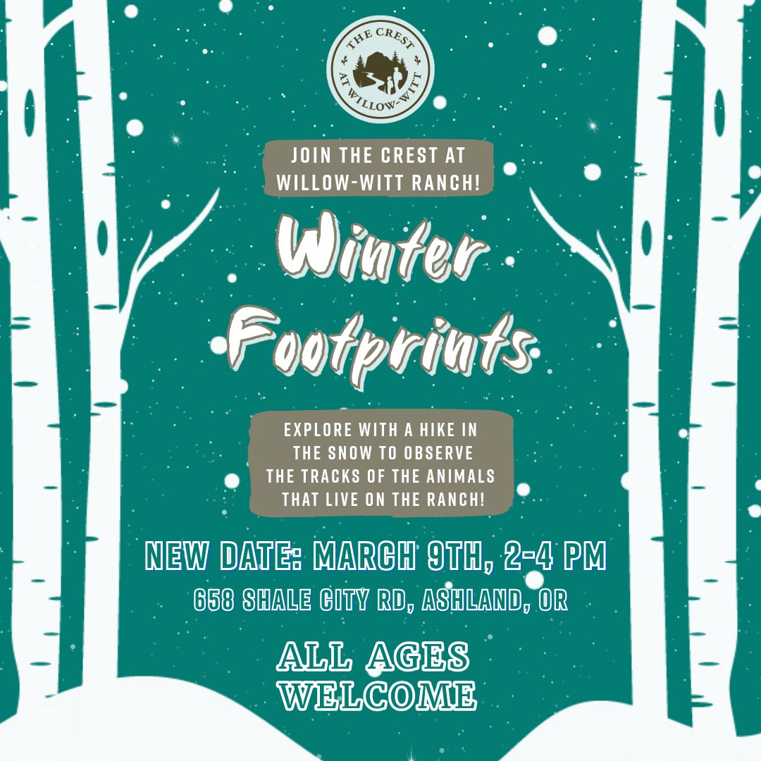 Winter Footprints family friendly educational hike identifying wildlife tracks in the snow at Willow-Witt Ranch