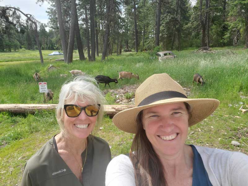 education staff Christine and Liz pose in front of goats