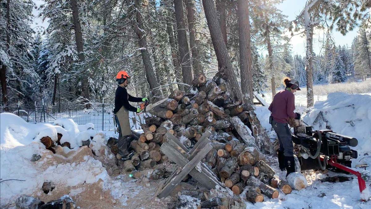 Willow-Witt Ranch staff cutting winter fiirewood