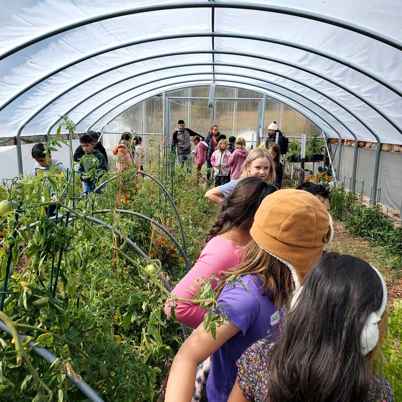 field trip students inside the certified organic garden hoop house