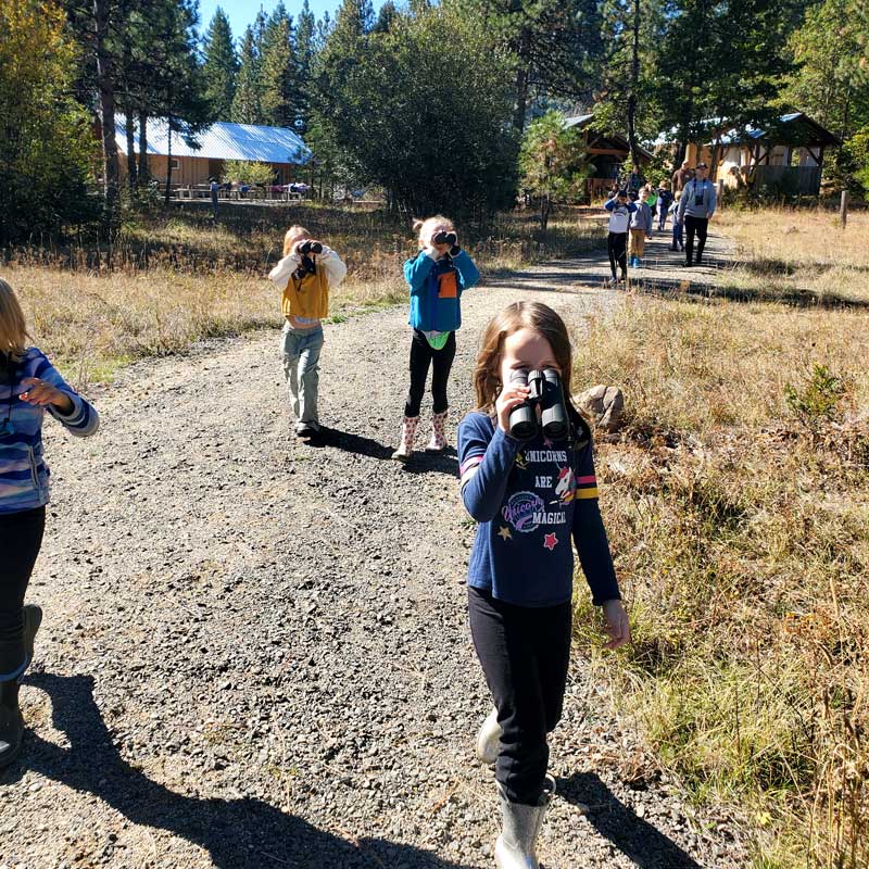 fall field trip students walking with binoculars to spot birds and other things