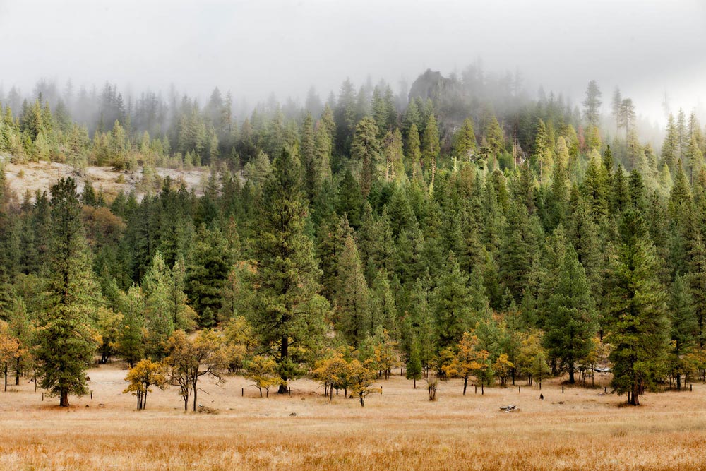 fall at the ranch