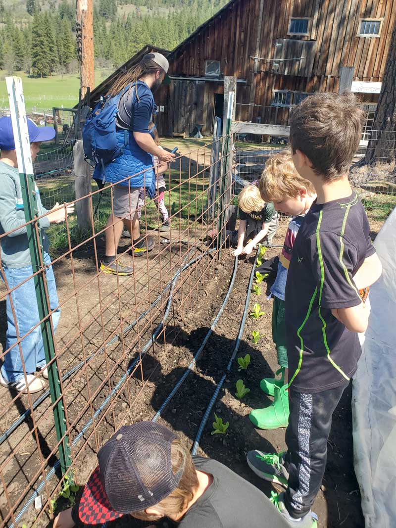 field trip students planting in the garden