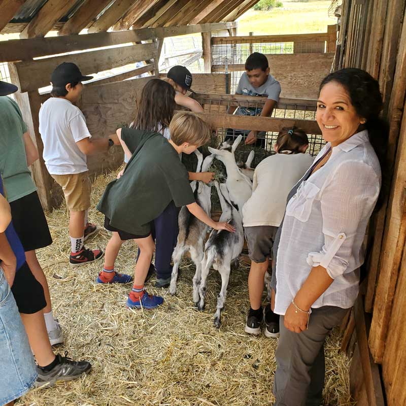 field trip students visit the alpine goat pen