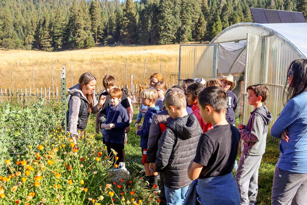 fifth grade outdoor school class on field trip at the ranch