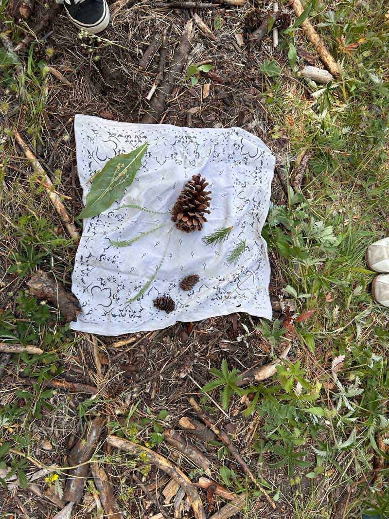 forest objects on handkerchief for identification