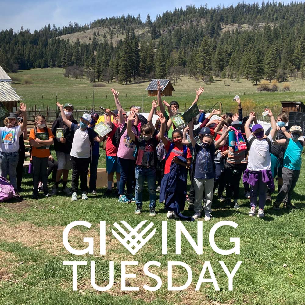 Giving Tuesday