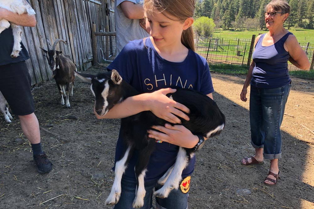learning about farm animals
