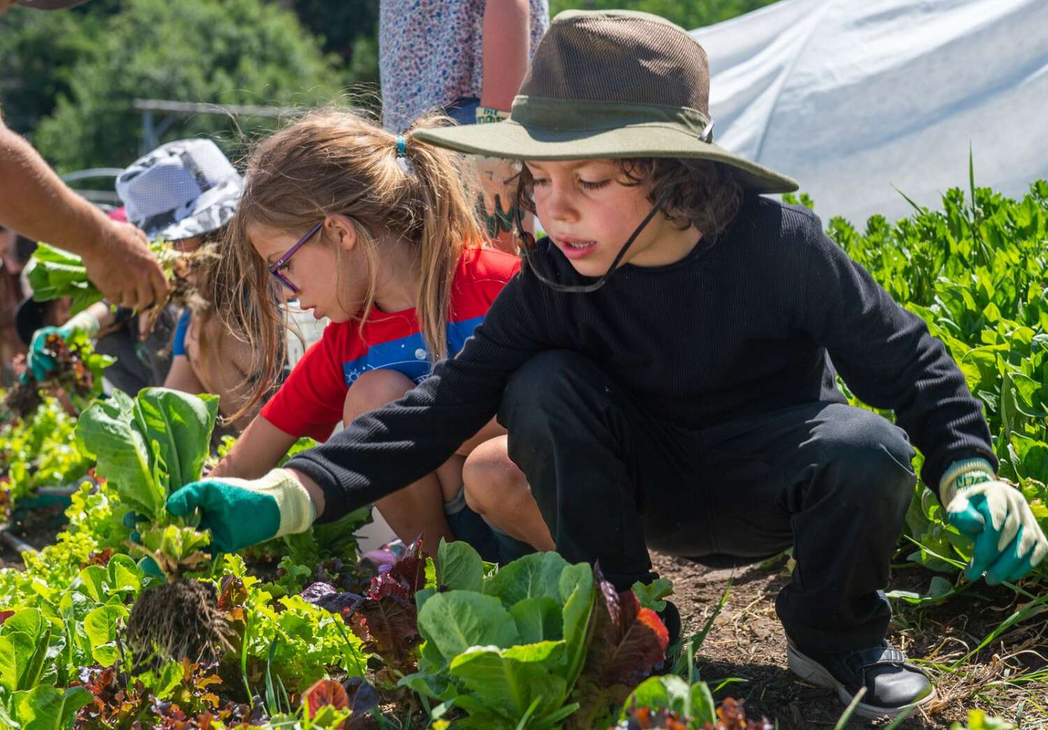 nature day camp participants enjoy outdoor garden time together