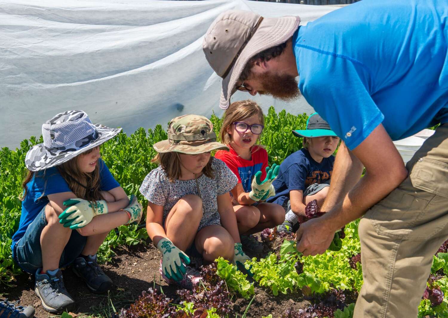 staff help nature day camp kids in the garden