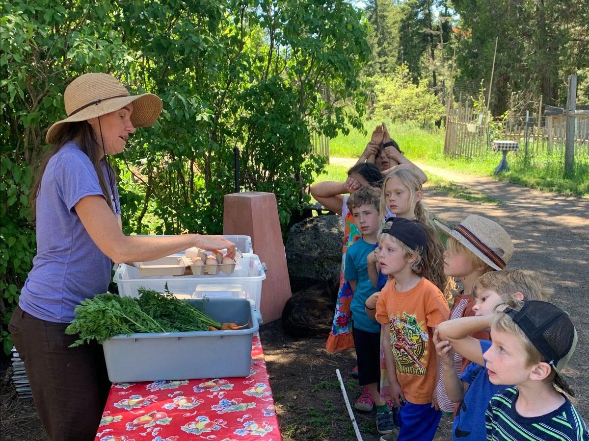 The Crest Nature Day Camp children learn about farm fresh eggs and vegetables