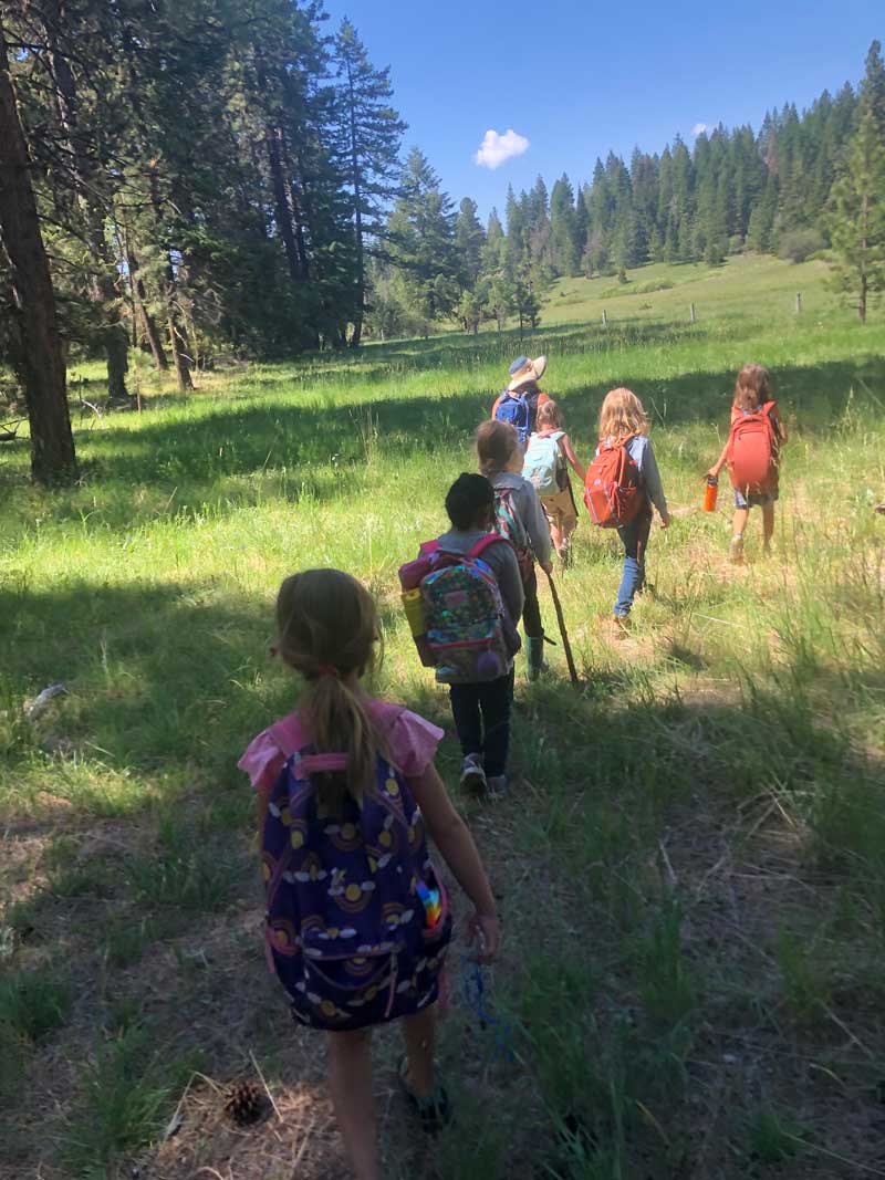 line of students hiking on path through meadow