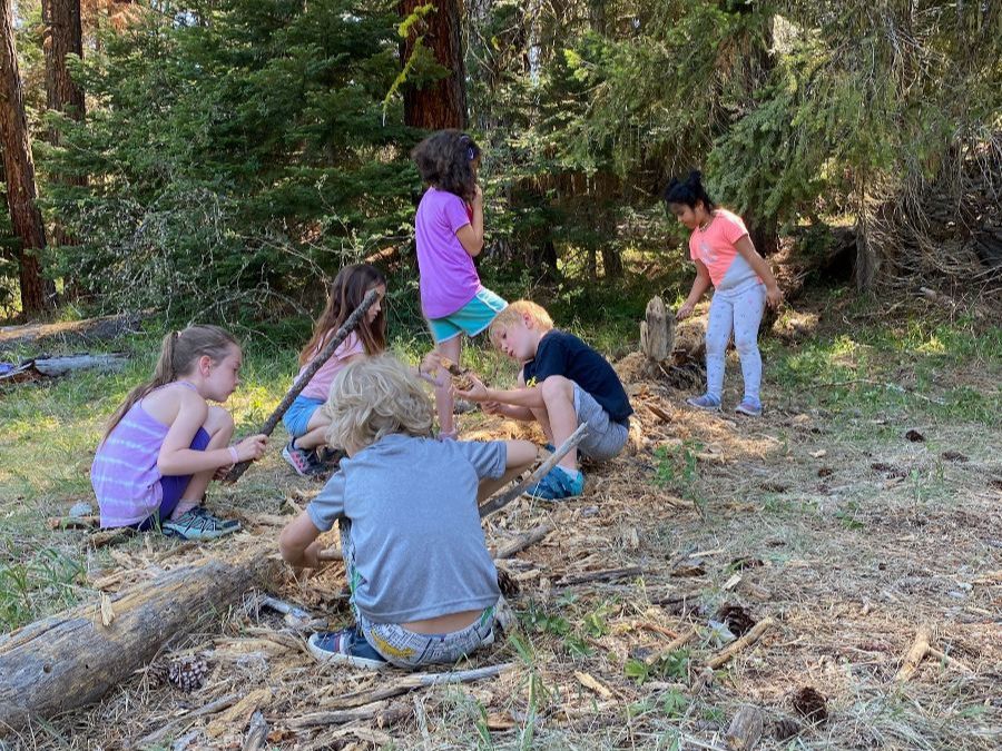 The Crest Nature Day Campers playing and exploring around decaying tree