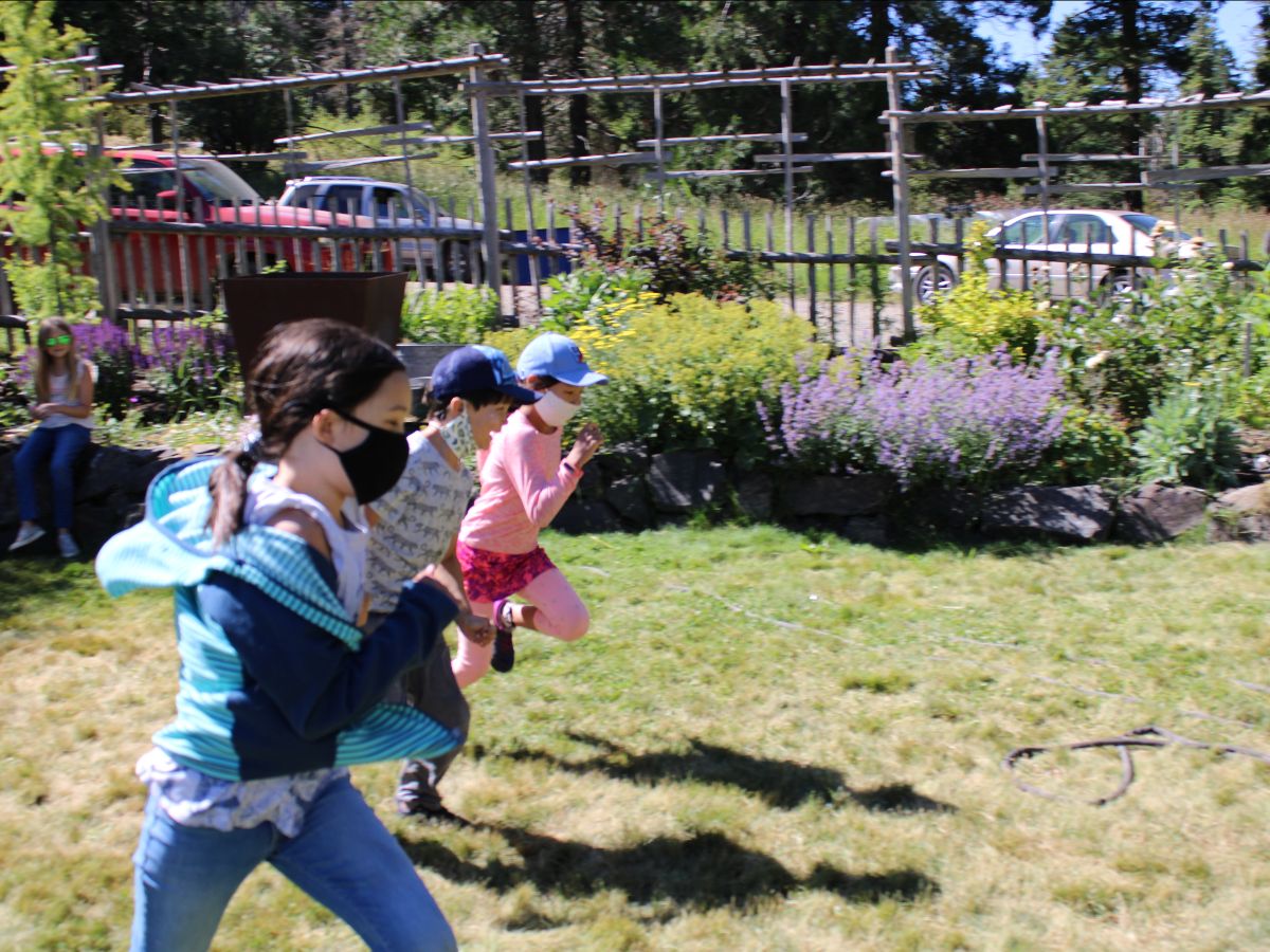nature day camps at The Crest