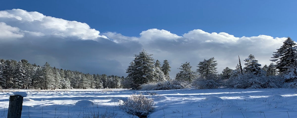 February snow at The Crest meadow