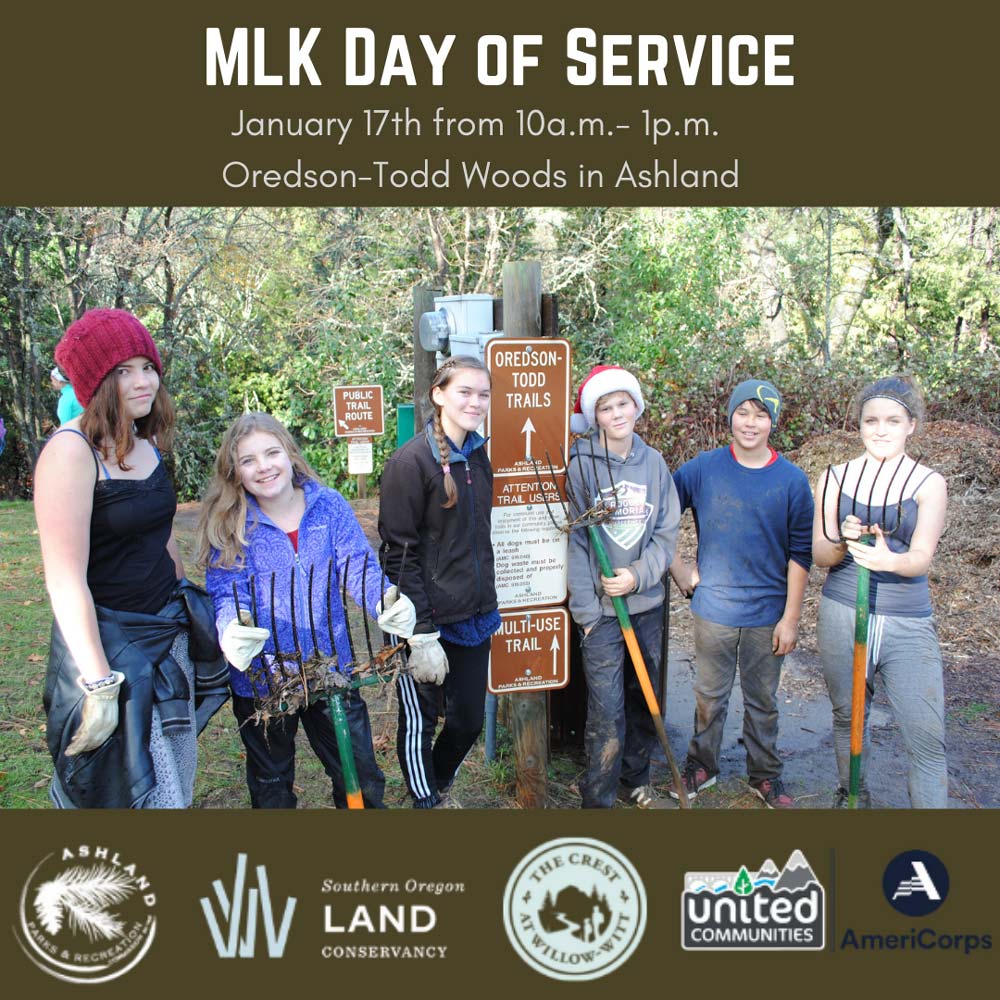 MLK Day of Service
