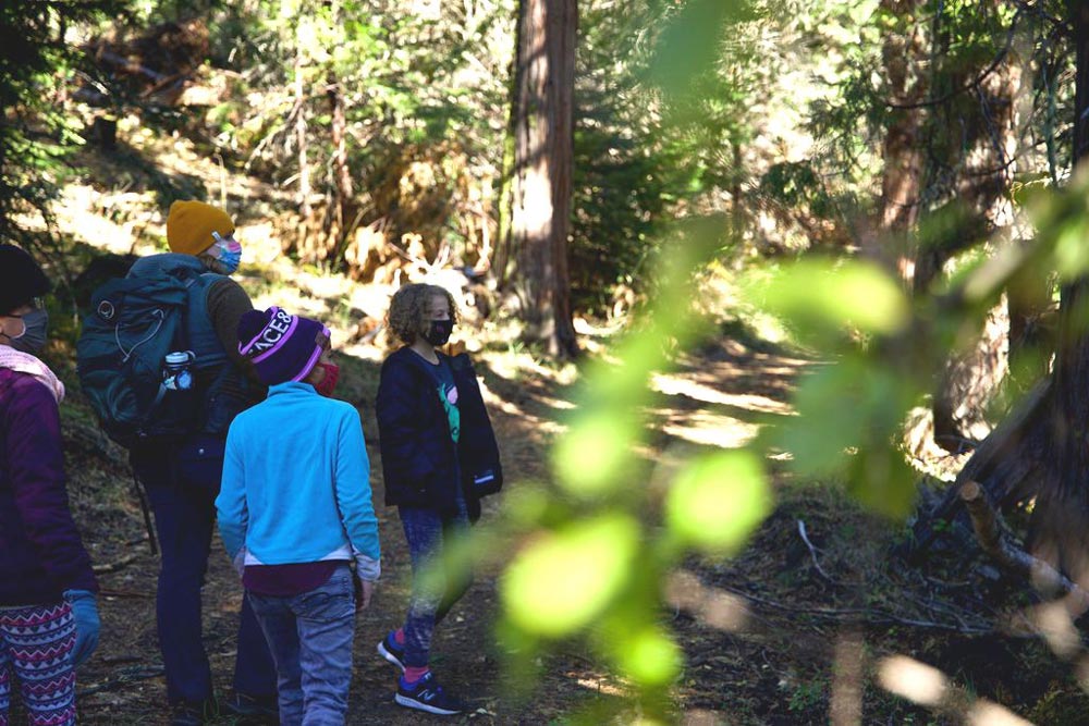 outdoor school children on forest path
