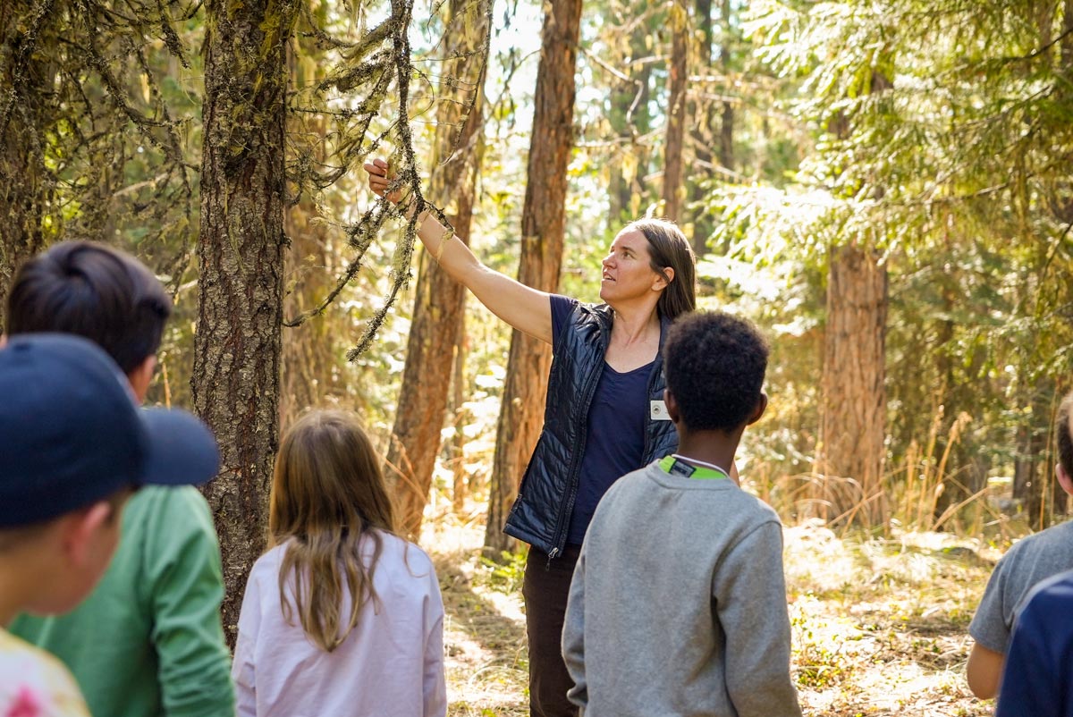 outdoor school class learning about moss and lichen
