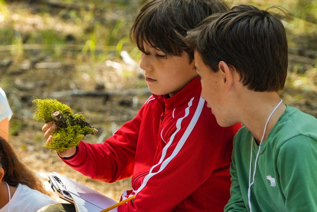 Outdoor school students observing lichen during a forest lesson