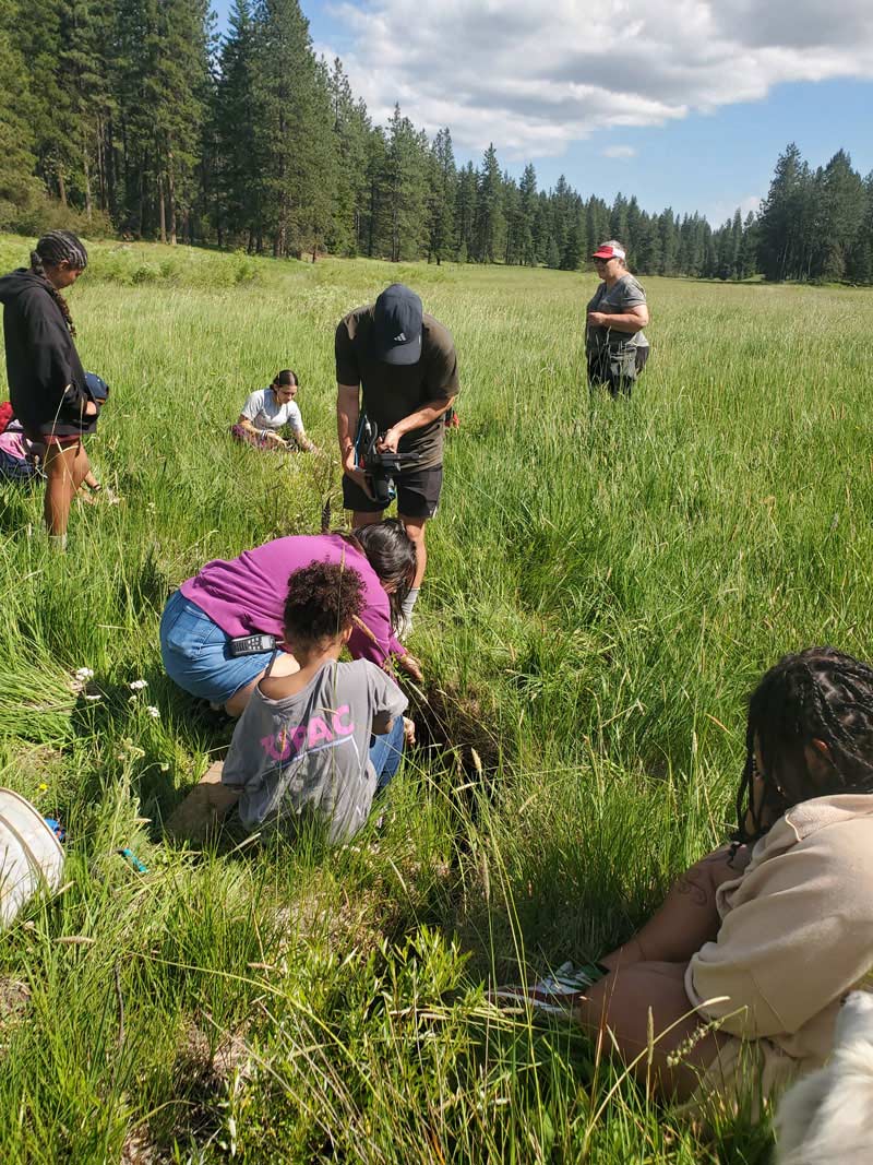 outdoor school students planting willow stakes to rehabilitate wetland