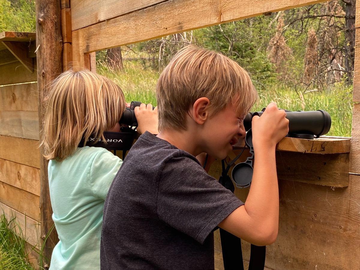 outdoor school students look through binoculars at birds and turtles