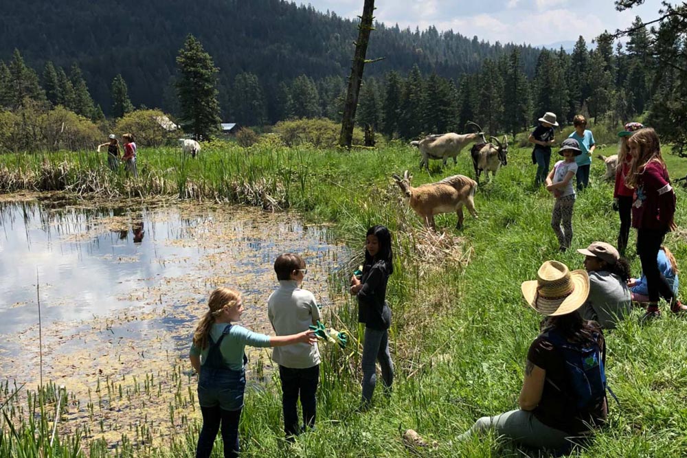 Nature Day Camp is summer camp fun for kids at The Crest at Willow-Witt Ranch